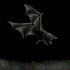 Bat